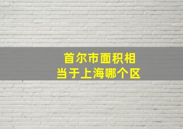 首尔市面积相当于上海哪个区