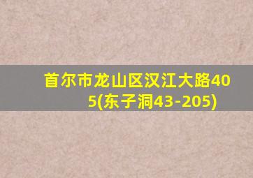 首尔市龙山区汉江大路405(东子洞43-205)