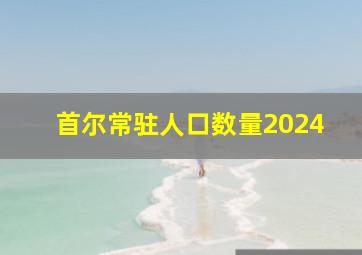 首尔常驻人口数量2024