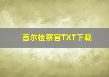 首尔检察官TXT下载