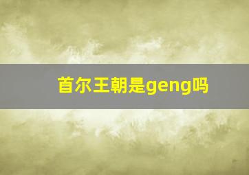 首尔王朝是geng吗