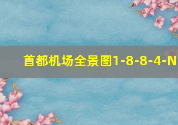 首都机场全景图1-8-8-4-N