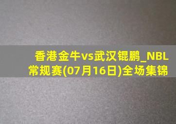 香港金牛vs武汉锟鹏_NBL常规赛(07月16日)全场集锦