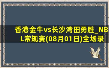 香港金牛vs长沙湾田勇胜_NBL常规赛(08月01日)全场录像