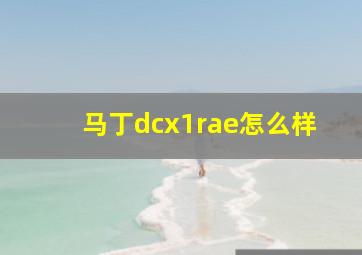 马丁dcx1rae怎么样