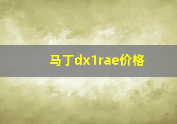 马丁dx1rae价格