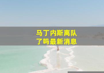 马丁内斯离队了吗最新消息