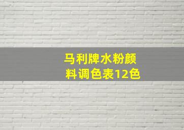 马利牌水粉颜料调色表12色