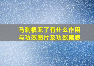 马刺根吃了有什么作用与功效图片及功效禁忌