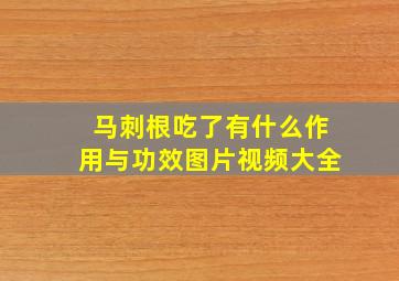 马刺根吃了有什么作用与功效图片视频大全