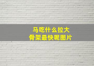 马吃什么拉大骨架最快呢图片