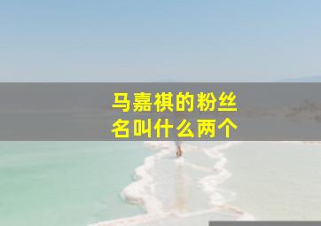 马嘉祺的粉丝名叫什么两个