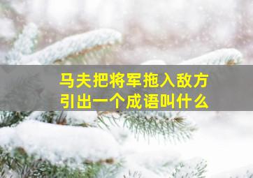 马夫把将军拖入敌方引出一个成语叫什么