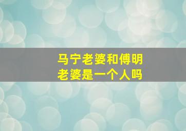 马宁老婆和傅明老婆是一个人吗