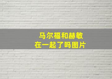 马尔福和赫敏在一起了吗图片