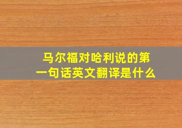 马尔福对哈利说的第一句话英文翻译是什么