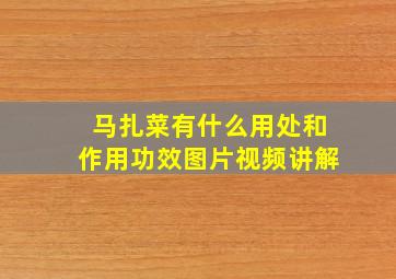 马扎菜有什么用处和作用功效图片视频讲解