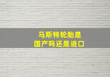 马斯特轮胎是国产吗还是进口