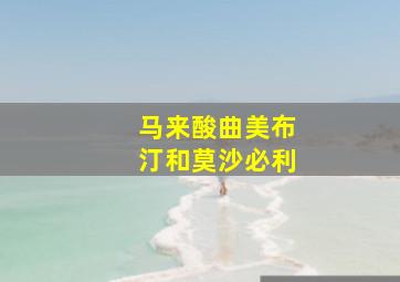 马来酸曲美布汀和莫沙必利