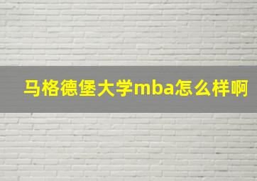 马格德堡大学mba怎么样啊