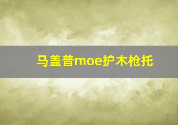 马盖普moe护木枪托