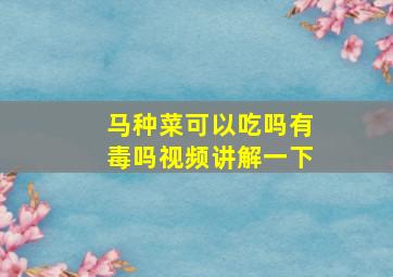 马种菜可以吃吗有毒吗视频讲解一下