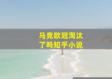 马竞欧冠淘汰了吗知乎小说