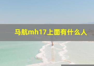 马航mh17上面有什么人