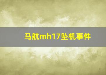 马航mh17坠机事件