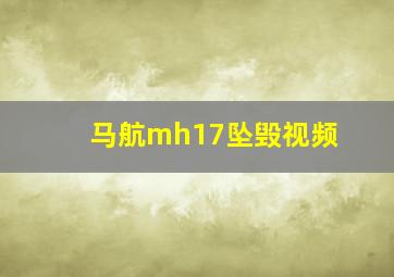 马航mh17坠毁视频