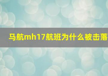 马航mh17航班为什么被击落