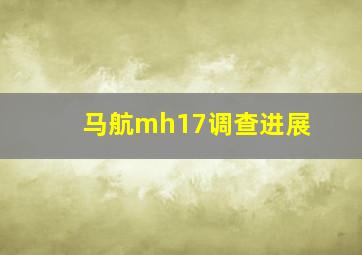 马航mh17调查进展