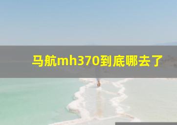 马航mh370到底哪去了