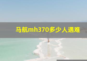 马航mh370多少人遇难