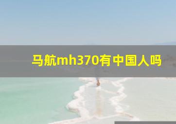 马航mh370有中国人吗