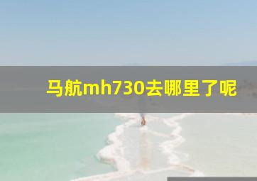 马航mh730去哪里了呢