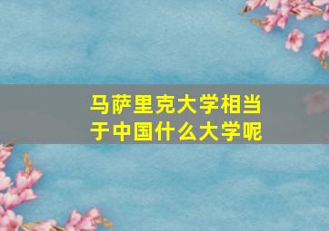 马萨里克大学相当于中国什么大学呢