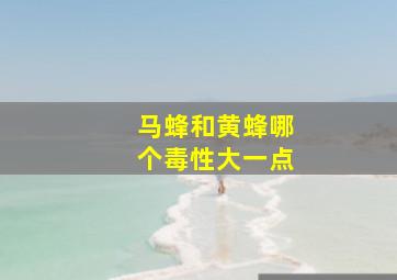 马蜂和黄蜂哪个毒性大一点