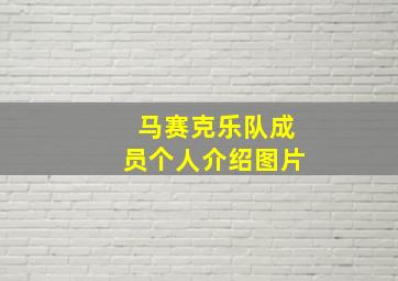 马赛克乐队成员个人介绍图片