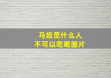 马齿苋什么人不可以吃呢图片