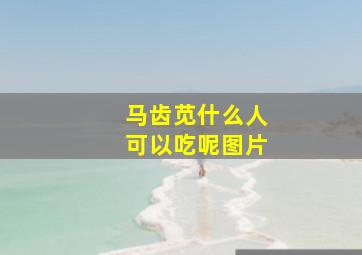 马齿苋什么人可以吃呢图片