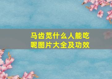 马齿苋什么人能吃呢图片大全及功效