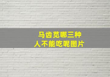 马齿苋哪三种人不能吃呢图片