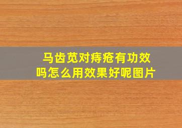 马齿苋对痔疮有功效吗怎么用效果好呢图片