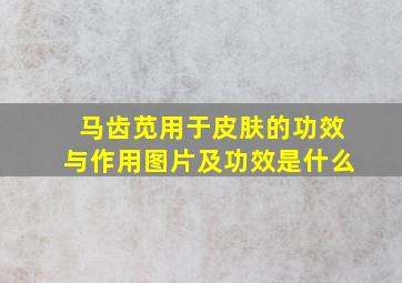 马齿苋用于皮肤的功效与作用图片及功效是什么