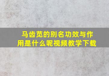 马齿苋的别名功效与作用是什么呢视频教学下载