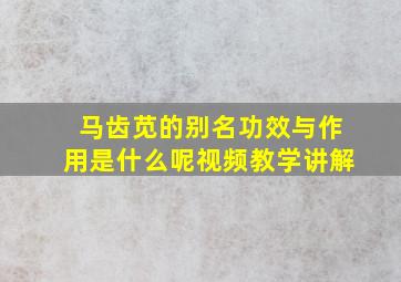 马齿苋的别名功效与作用是什么呢视频教学讲解