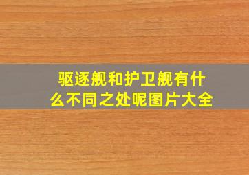 驱逐舰和护卫舰有什么不同之处呢图片大全