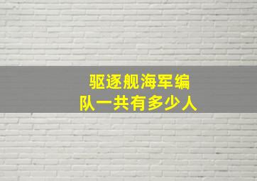 驱逐舰海军编队一共有多少人