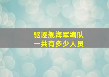 驱逐舰海军编队一共有多少人员